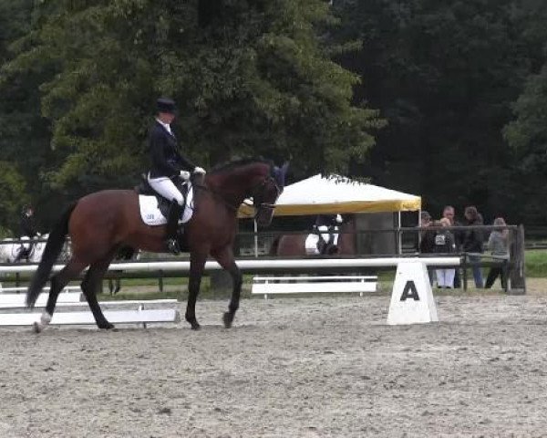 Recklinghausen 2014