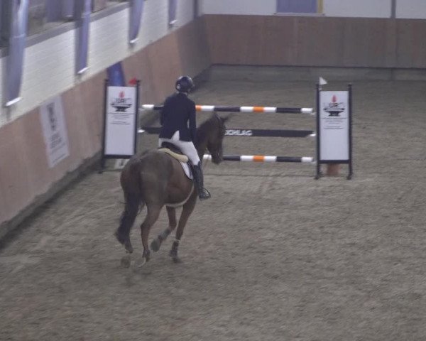 Reitturnier Grevenbroich - Gut Neuhaus 2021