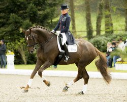 dressage horse Damon's Divene (Westphalian, 2006, from Damon Hill)