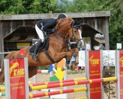 jumper Champ F (Württemberger, 2009, from Chambertin)