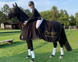 dressage horse Black Sabbath (Austrian Warmblood, 2016, from Bon Coeur)