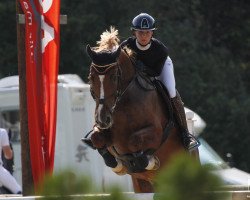 jumper Amadeus 93 (Austrian Warmblood, 2009, from Abrek-17)