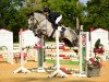 jumper La Mia Principessa (Austrian Warmblood, 2012, from Enanco S)