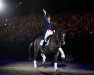 dressage horse Valegro (KWPN (Royal Dutch Sporthorse), 2002, from Negro)