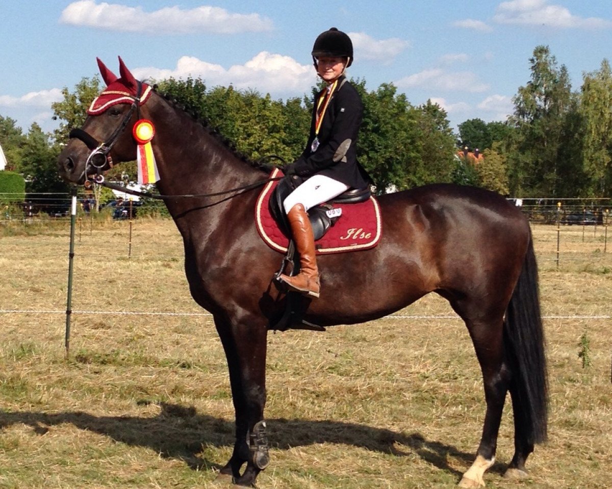 broodmare Call me Ilse NH (Württemberger, 2005, from Conteur)