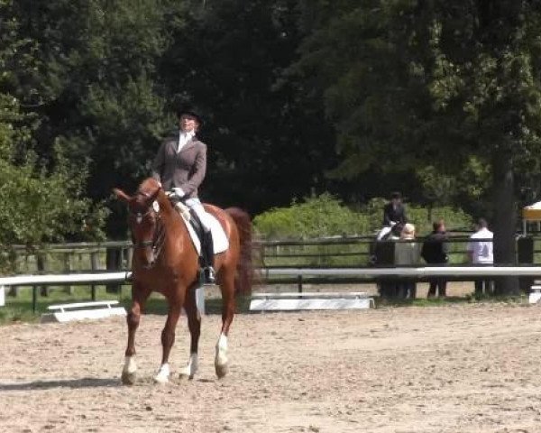Recklinghausen 2014