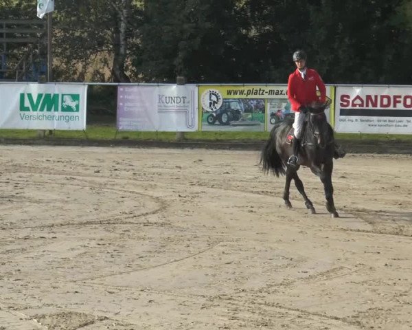 Bad Rothenfelder Reitertage 2014