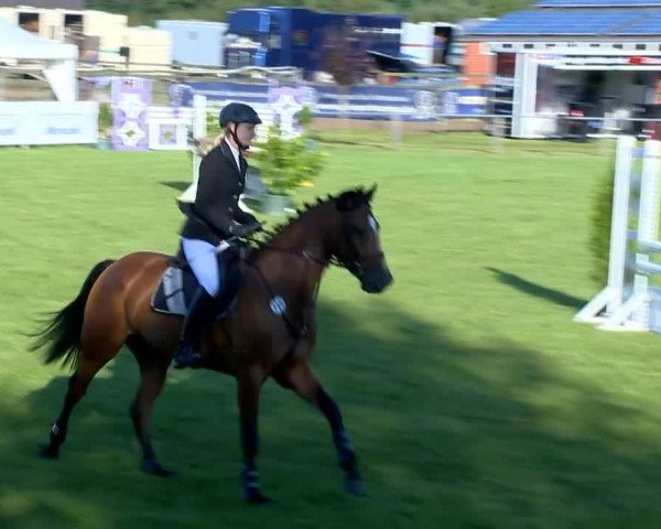 Reitertage Holdorf 2014