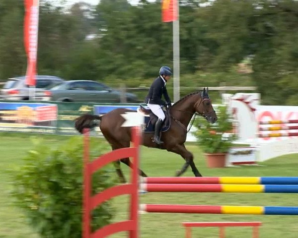 Reitertage Holdorf 2014