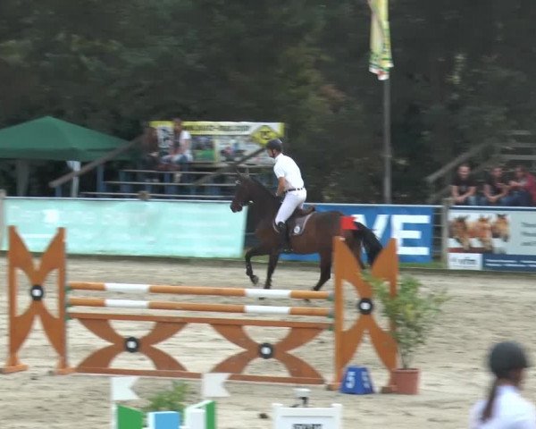 Bad Rothenfelder Reitertage 2014