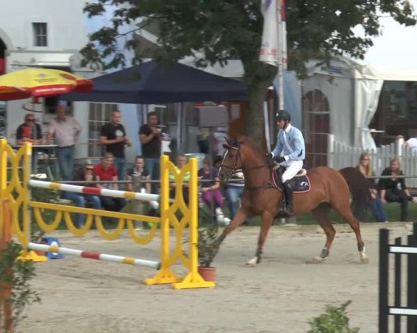Bad Rothenfelder Reitertage 2014