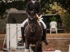 dressage horse Raja 145 (German Riding Pony, 2005, from Riskant vom Grenzhof)