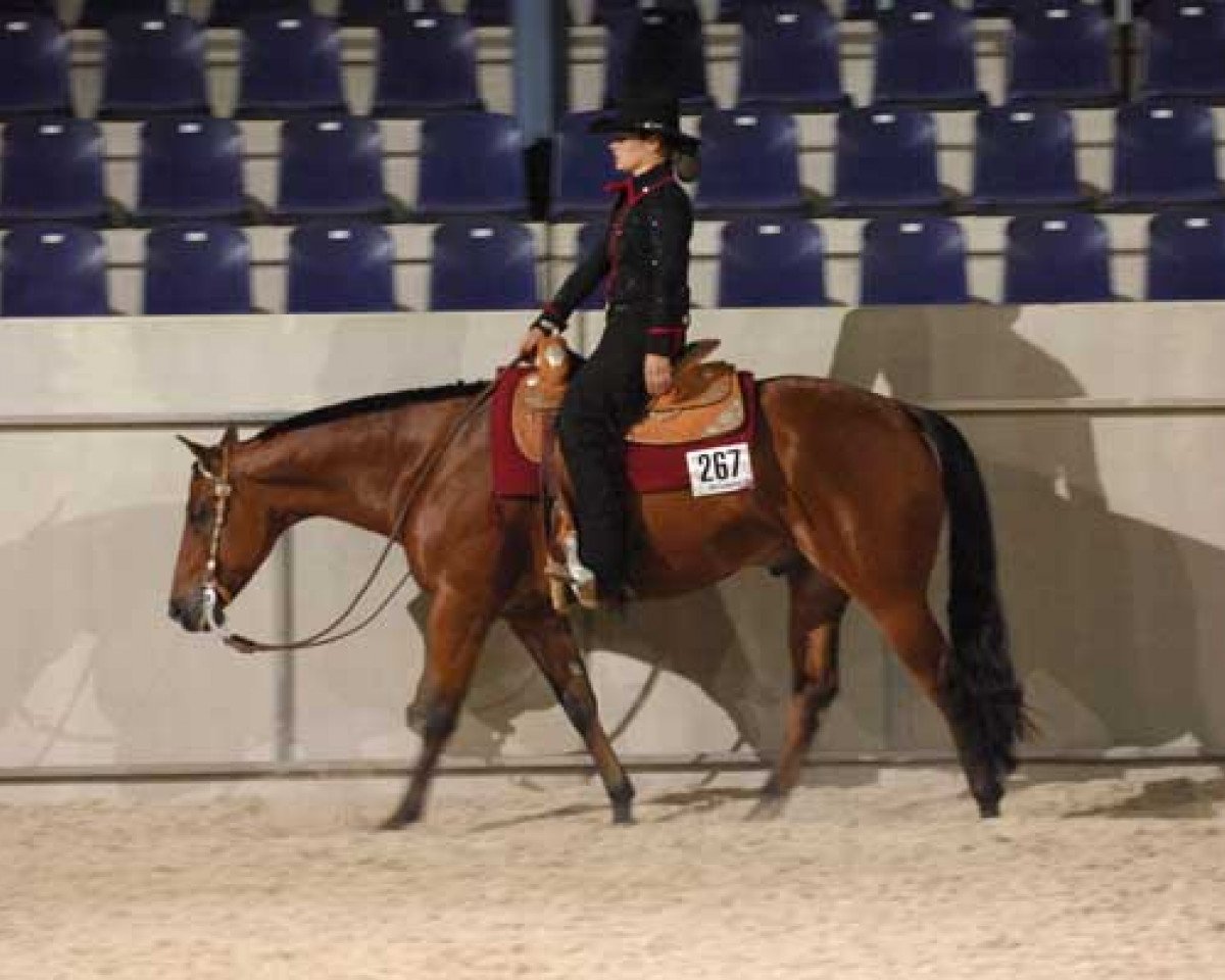 Deckhengst Lope Lika Leaguer (Quarter Horse, 1999, von Docs Leaguer)