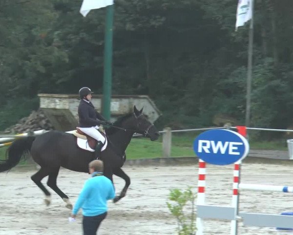 Bad Rothenfelder Reitertage 2014