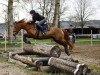 eventing horse Leika (Quarter Horse, 2008, from Be Shadow Jack)