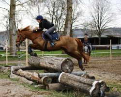 eventing horse Leika (Quarter Horse, 2008, from Be Shadow Jack)