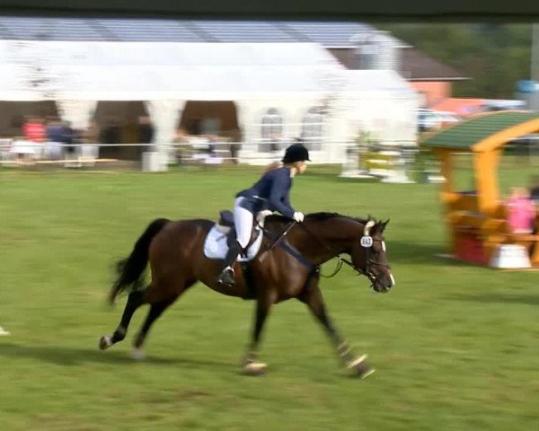Reitertage Holdorf 2014