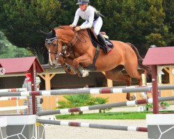 Springpferd Jill (Belgisches Warmblut, 2009, von Cicero Z van Paemel)