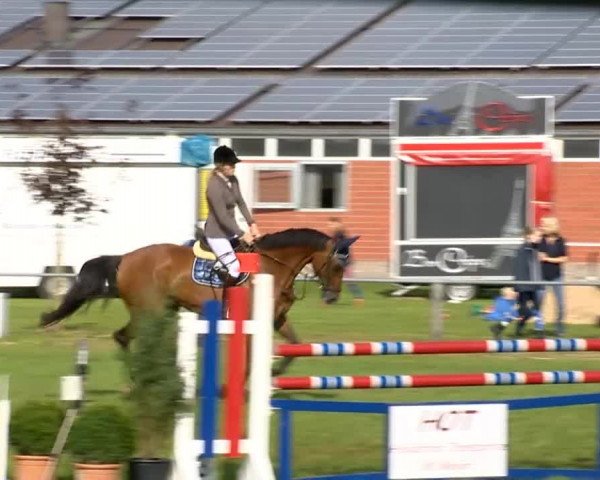 Reitertage Holdorf 2014