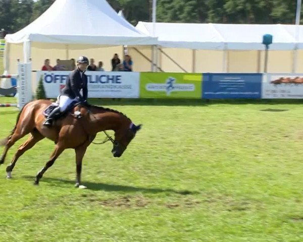 Reitertage Holdorf 2014