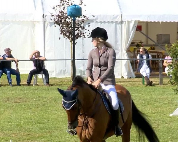 Reitertage Holdorf 2014