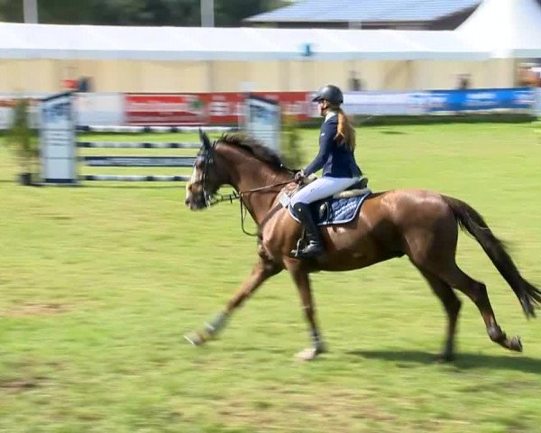Reitertage Holdorf 2014