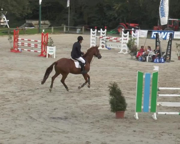 Bad Rothenfelder Reitertage 2014