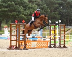 jumper Baloubelle Floreval (Selle Français, 2011, from Baloubet du Rouet)