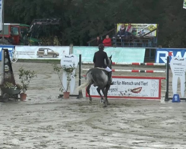Bad Rothenfelder Reitertage 2014