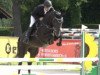 jumper Donna Imma S (Hanoverian, 2016, from Diacontinus)