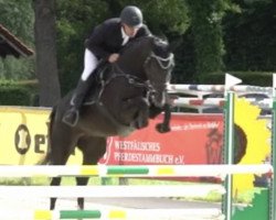 jumper Donna Imma S (Hanoverian, 2016, from Diacontinus)