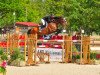 jumper Coco Blue Floreval (Oldenburg show jumper, 2006, from Chacco-Blue)