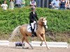 Dressurpferd Frankenhoeh's Menuett (Welsh Pony (Sek.B), 2000, von Bonsay)