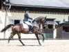 dressage horse Dionella (Austrian Warmblood, 2013, from Lemony's Nicket)