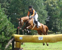 broodmare Lorena B (Hanoverian, 2002, from Le Primeur)