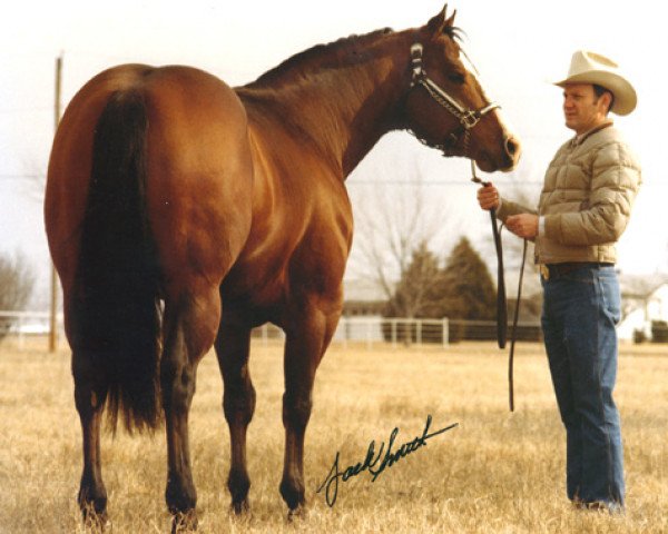 Deckhengst Diamonds Cross (Quarter Horse, 1977, von Mr Diamond Dude)