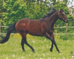 stallion Leaguers Lil Chip (Quarter Horse, 1995, from Chips Hot Chocolate)