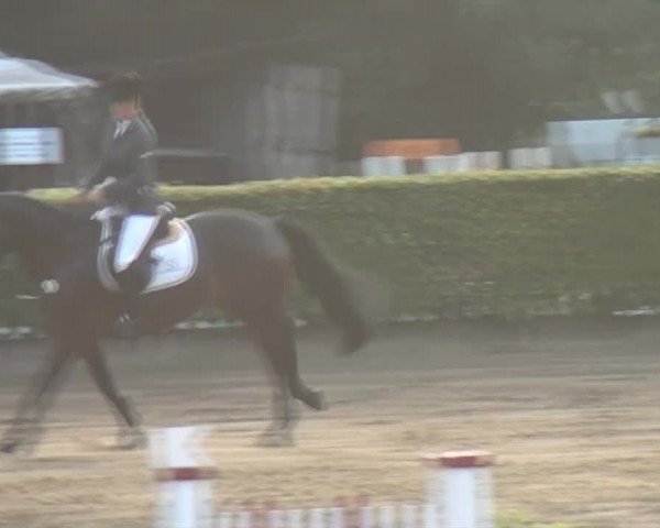 Aachen - Gut Weyern 2014