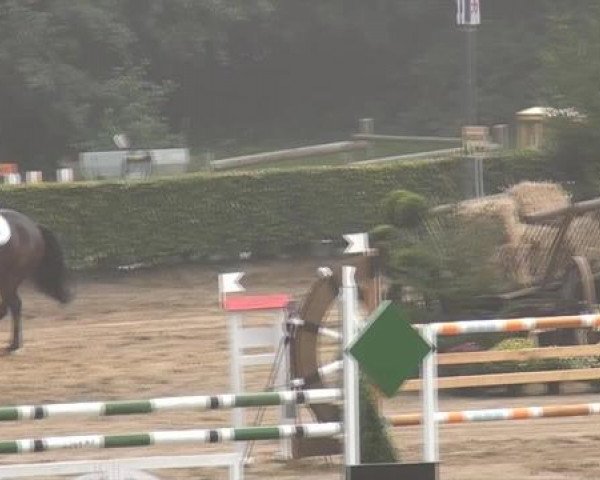 Aachen - Gut Weyern 2014