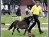 broodmare Rapunzel von Weyhe (Shetland pony (under 87 cm), 2011, from Helza Moody Blue)