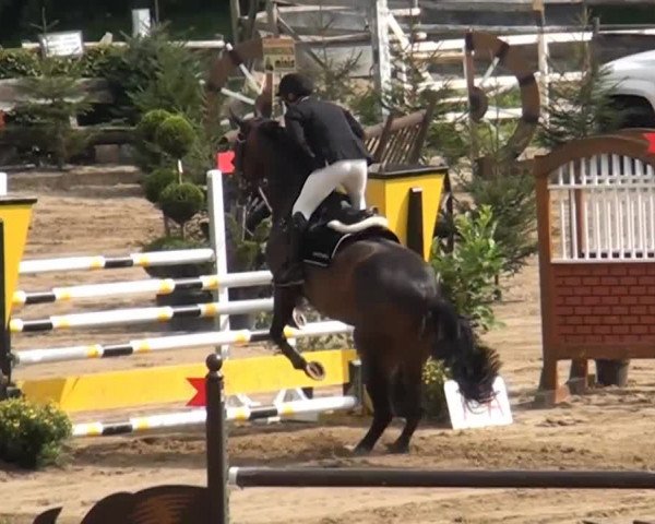 Aachen - Gut Weyern 2014