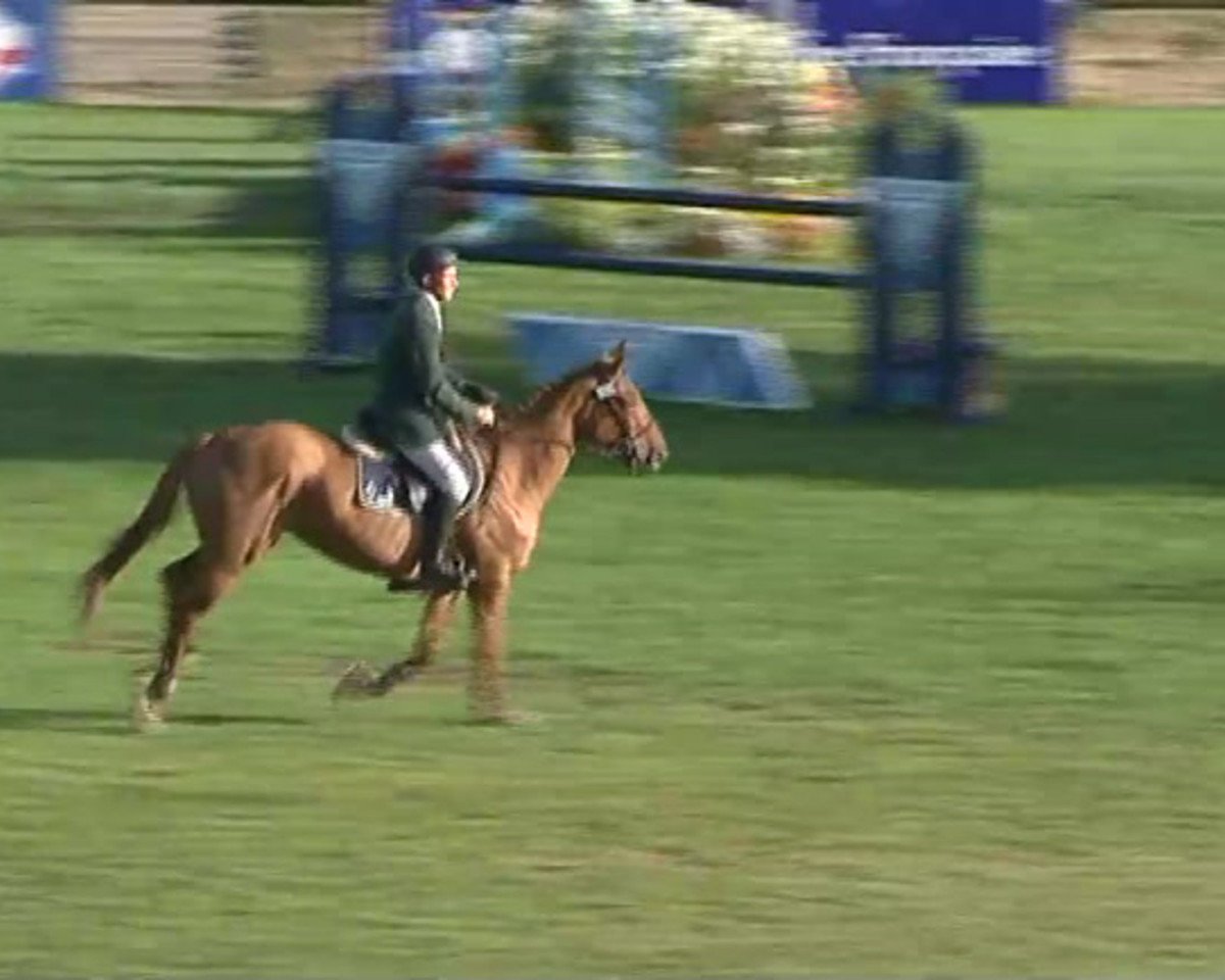 jumper Titania du Hequet (Selle Français, 2007, from Jus des Fontaines)