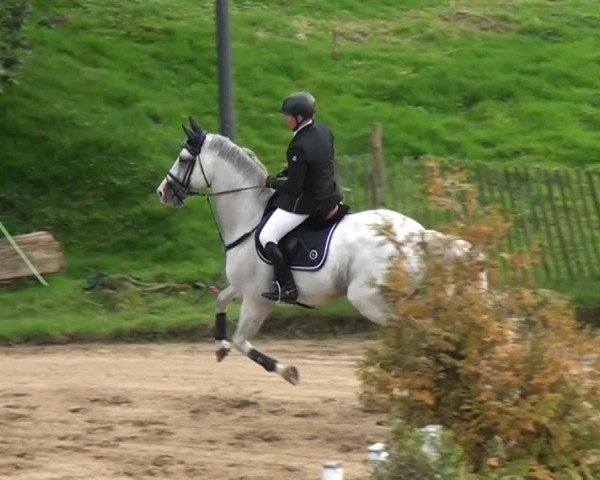 Aachen - Gut Weyern 2014