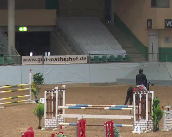 Reitturnier Kreuth/Opf. 2021