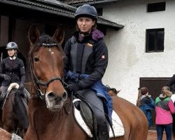 Pferd Ascatana (Pura Raza Espanola (PRE), 2004, von El Gitano)