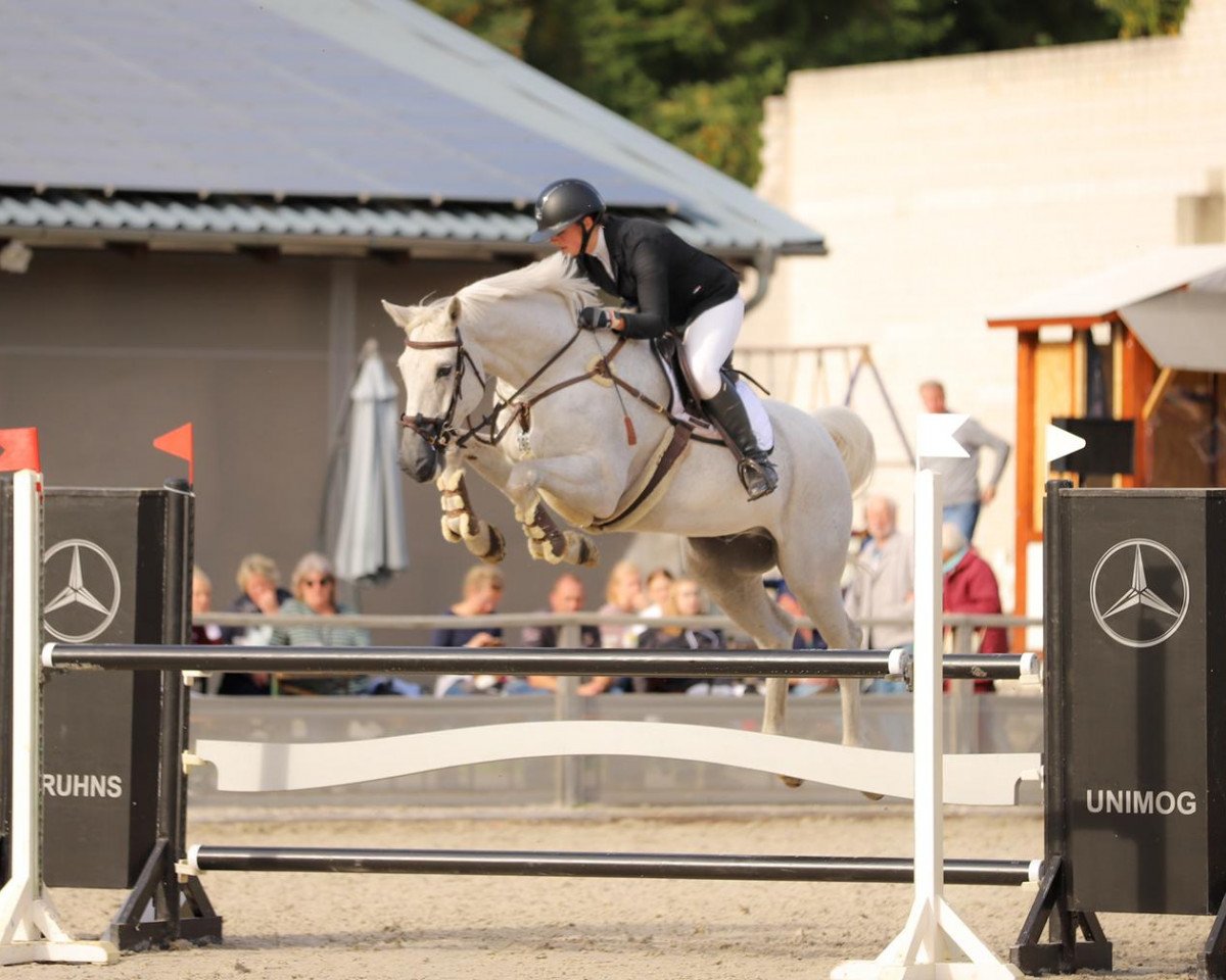 jumper Qubi-Doo (Zweibrücken, 2011, from Qui Lago)