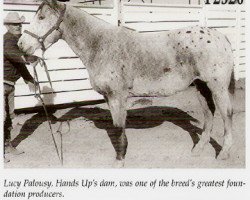 broodmare Lusy Palousy (Appaloosa, 1941, from Joe Bailey)