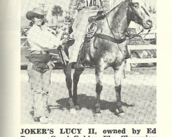 Zuchtstute Joker's Lucy 2 (Appaloosa, 1963, von Joker B)