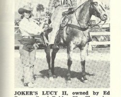 broodmare Joker's Lucy 2 (Appaloosa, 1963, from Joker B)