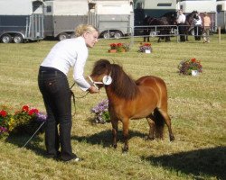 broodmare Verb.Pr.St. Xena von England (Shetland pony (under 87 cm), 2003, from Parlington-Picasso)